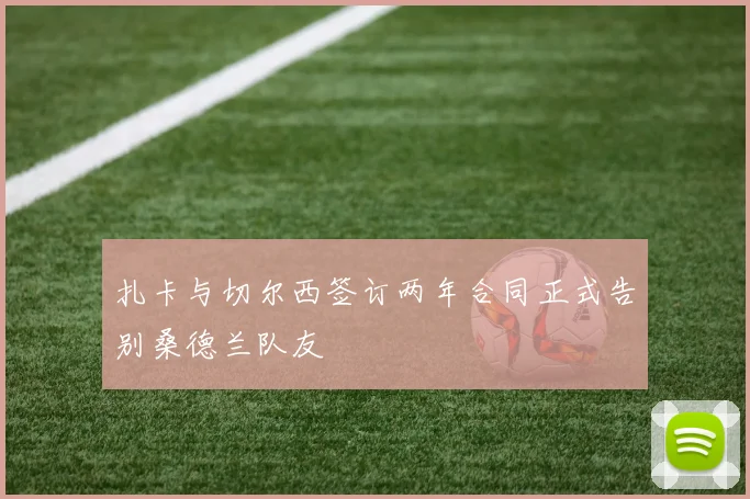 扎卡与切尔西签订两年合同正式告别桑德兰队友