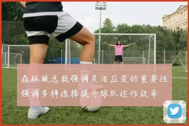 森林狼总裁强调灵活应变的重要性强调多样选择提升球队运作效率